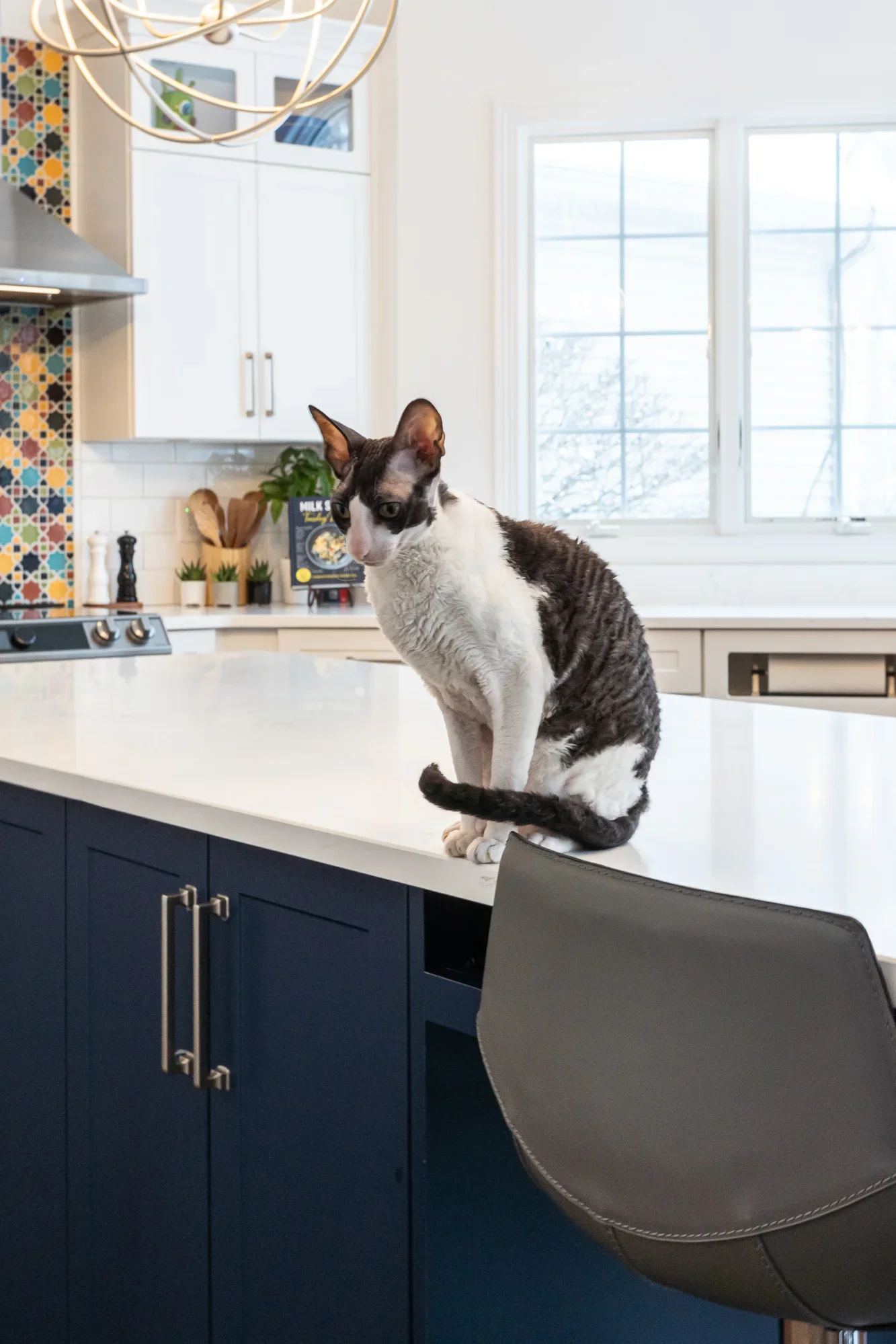 Modern kitchen with navy and white cabinetry, quartz counters, subway tile backsplash, and geometric accent wall